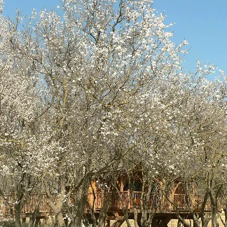 Luksustelt D'amour *