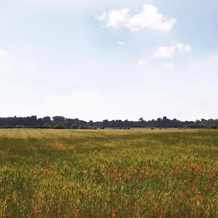 Luksustelt D'amour Béziers