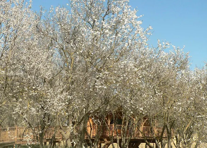 Campismo de Luxo D'amour *