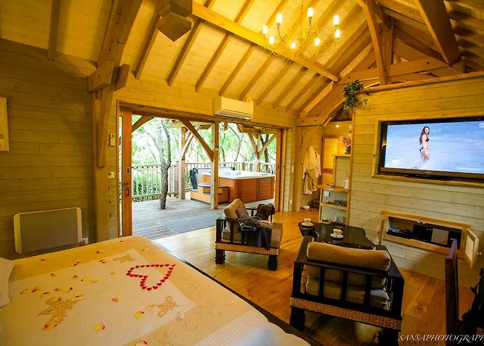 D'amour Campismo de Luxo *