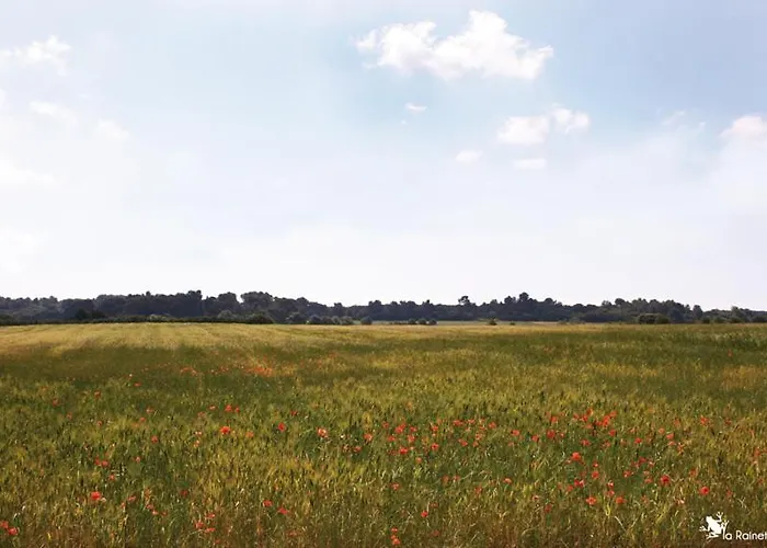 Campismo de Luxo D'amour Béziers